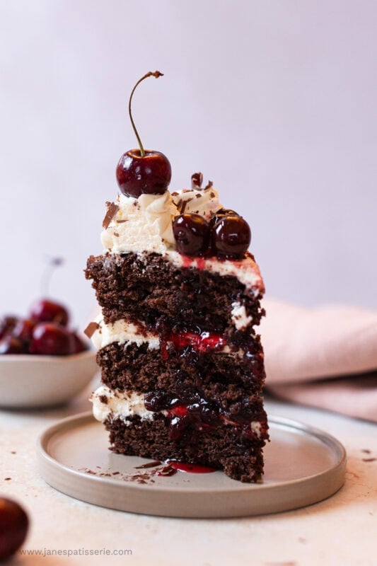 A slice of black forest fudge cake