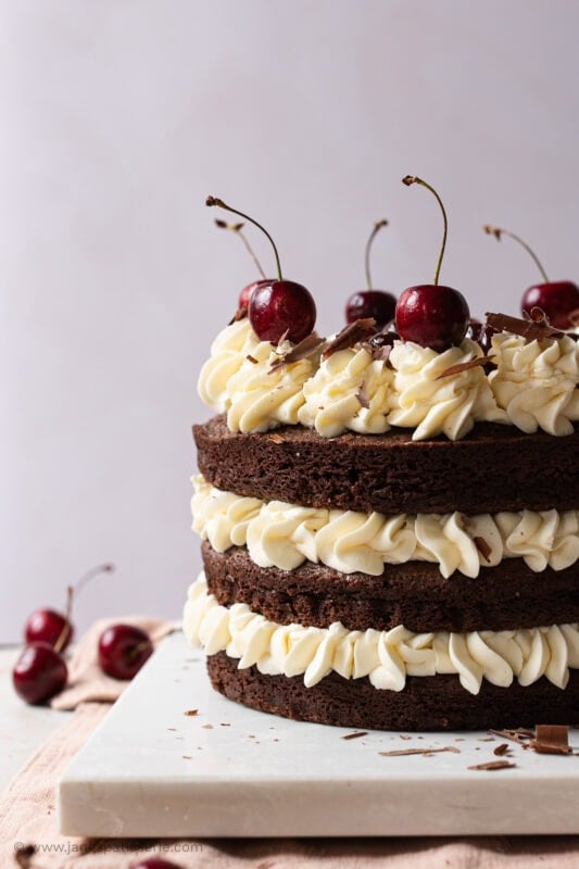 Whole black forest fudge cake with fresh cherries