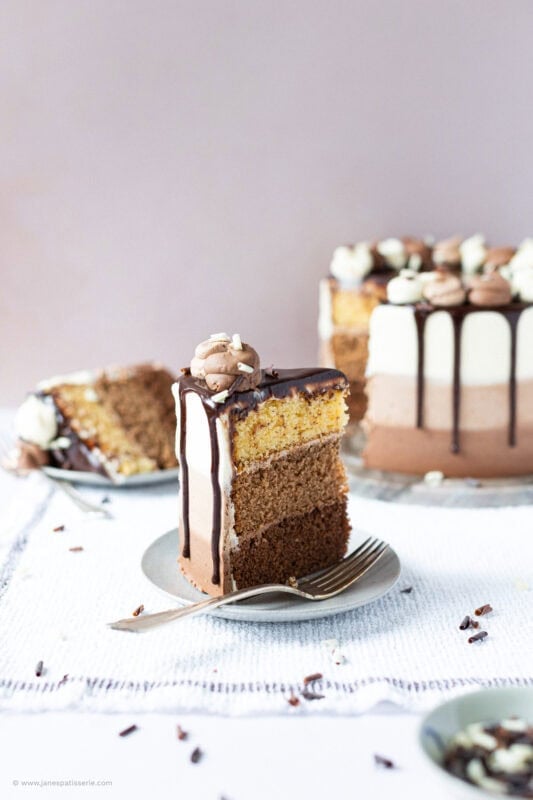 A slice of Triple Chocolate Cake on a plate
